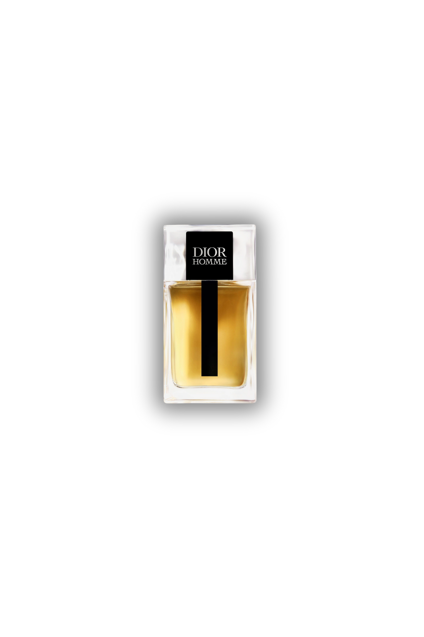 Dior Homme